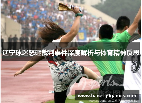 辽宁球迷怒砸裁判事件深度解析与体育精神反思