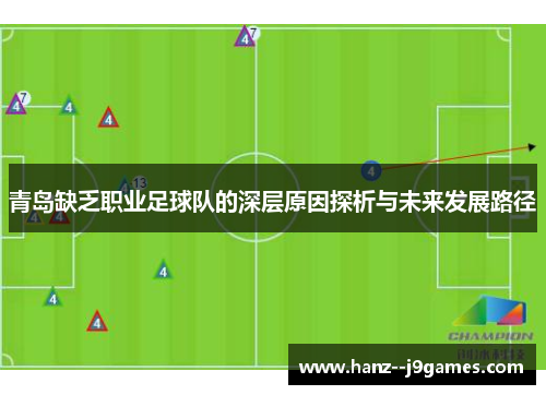 青岛缺乏职业足球队的深层原因探析与未来发展路径 青岛缺乏职业足球队的深层原因探析与未来发展路径